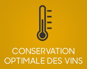 conservation optimale vins
